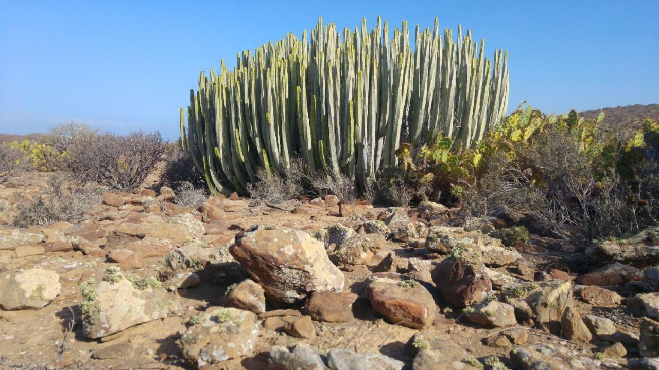 C101 Los Balandros Palm-mar Zewnętrze zdjęcie